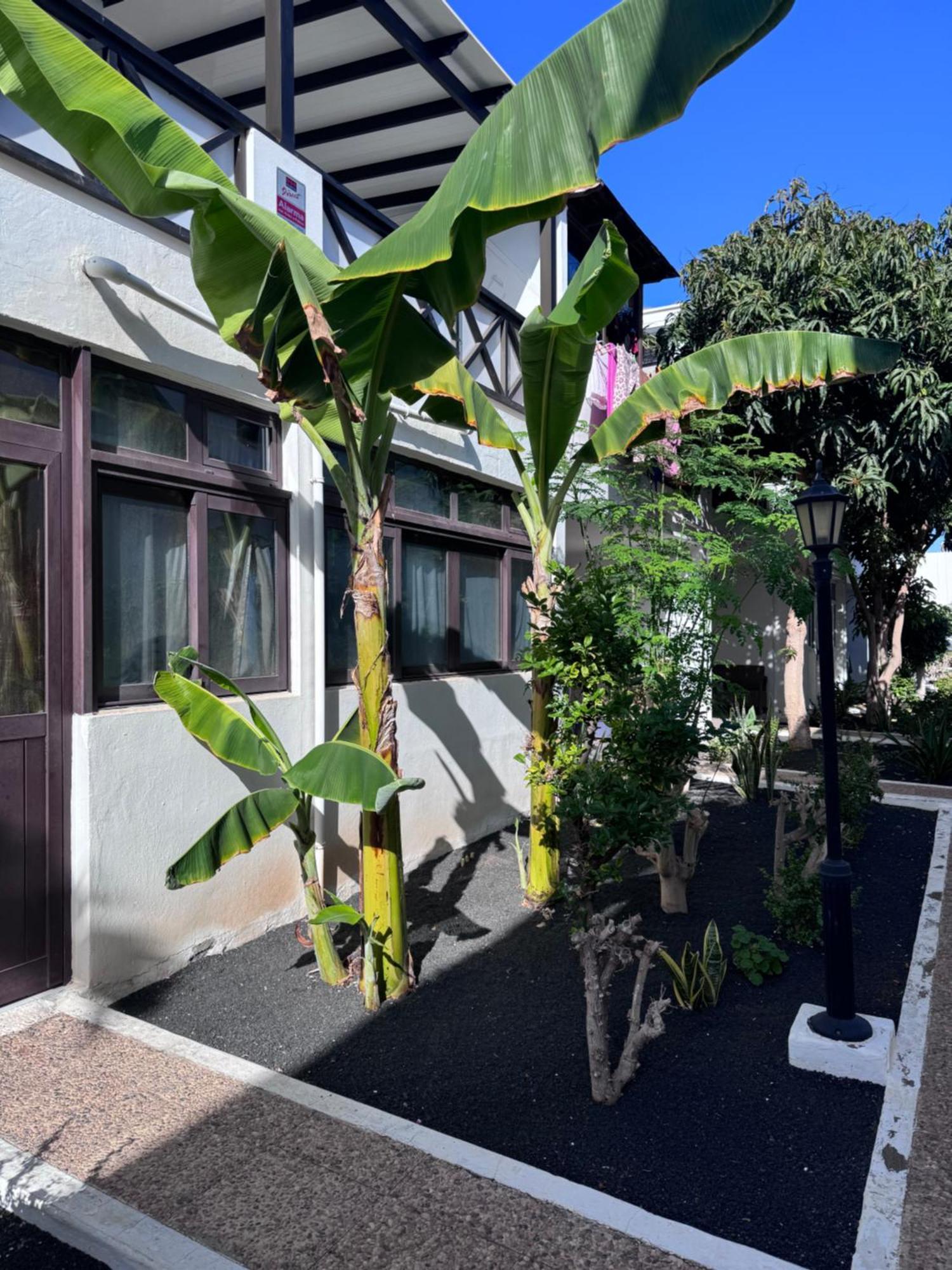 Apartament Casa Ana Puerto Del Carmen Tías Zewnętrze zdjęcie